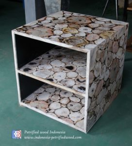 Petrified wood cabinet