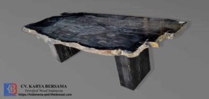 Petrified Wood Dining Table