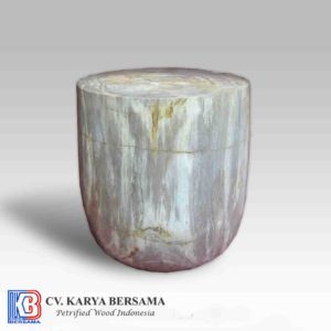 Petrified Wood Cup Shape Side Table /  Stool Cup Shape
