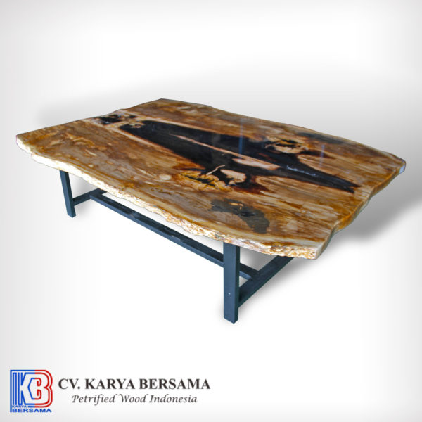 Petrified Wood Butterfly Dining Table