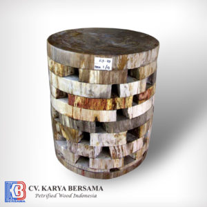 Petrified Wood Round Hollow Side Table