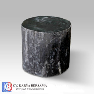Petrified Wood Round Solid Side Table